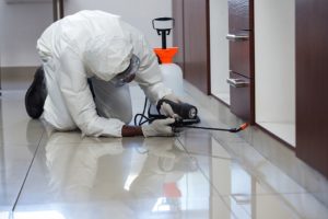 commercial pest control gold coast