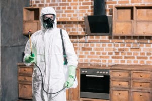 pest control