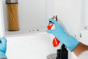 Spraying bugs