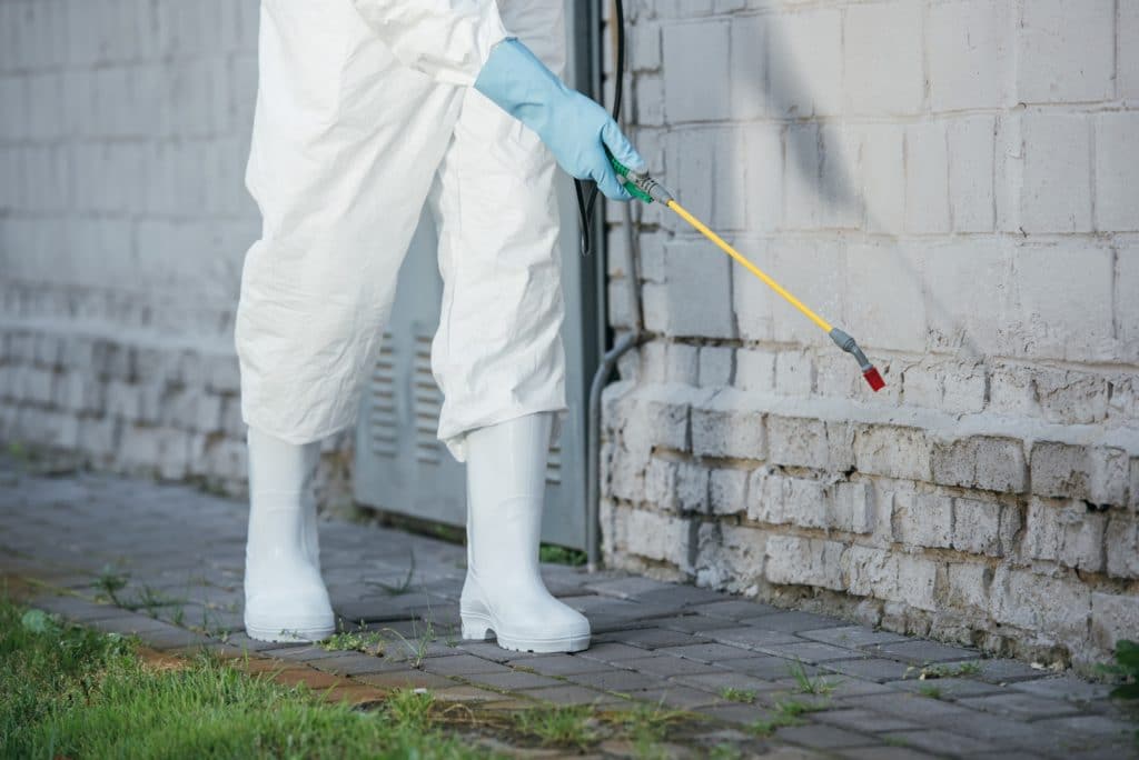 cropped image of pest control worker spraying pesticides with sprayer on building wall