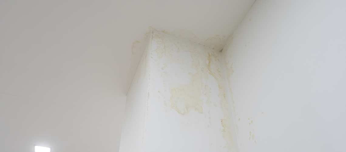 Damaged plasterboard and ceiling corner showing property staining from DIY pest spray.