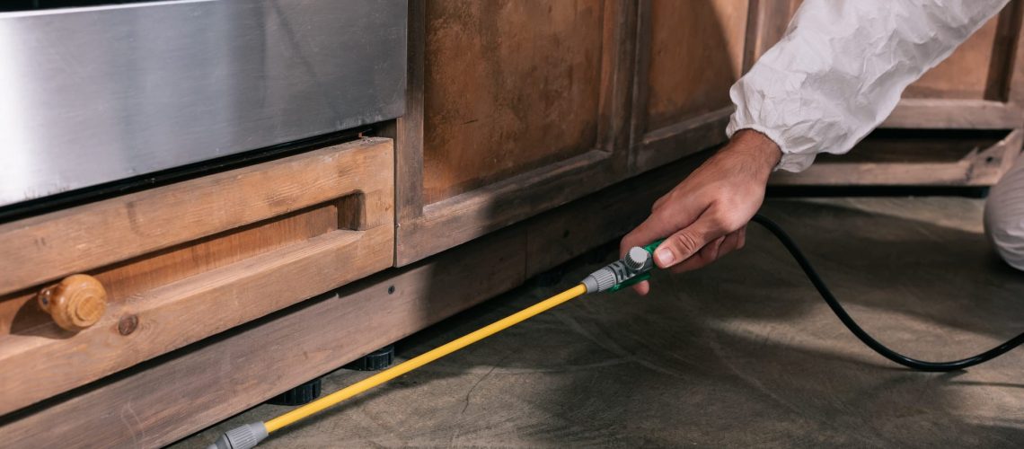 cropped image of pest control worker spraying pesticides under cabinet in kitchen