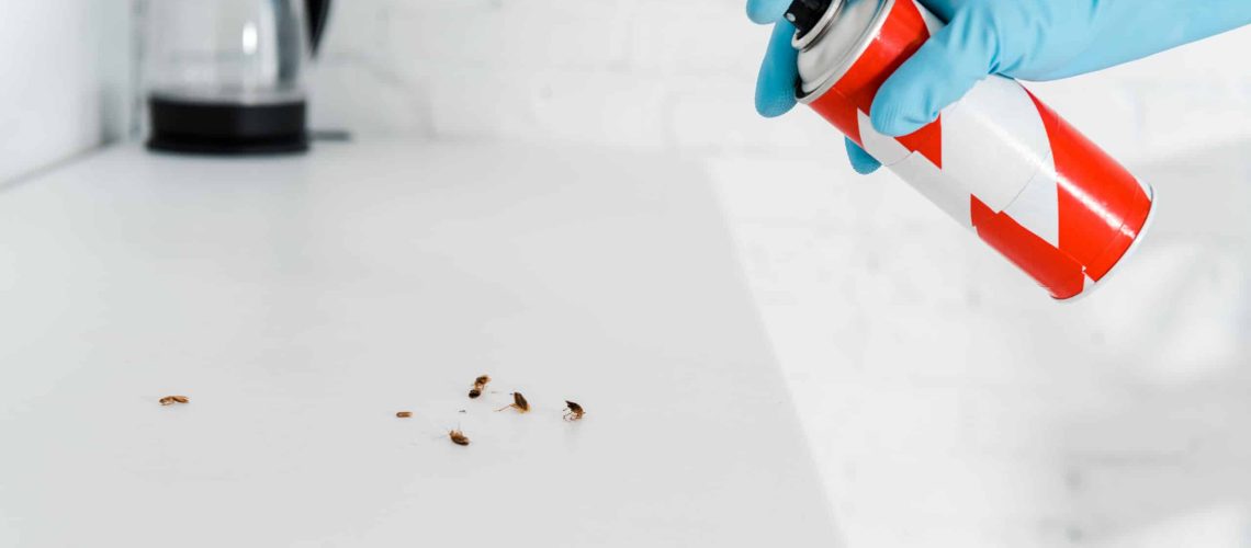toxic spray can near cockroaches