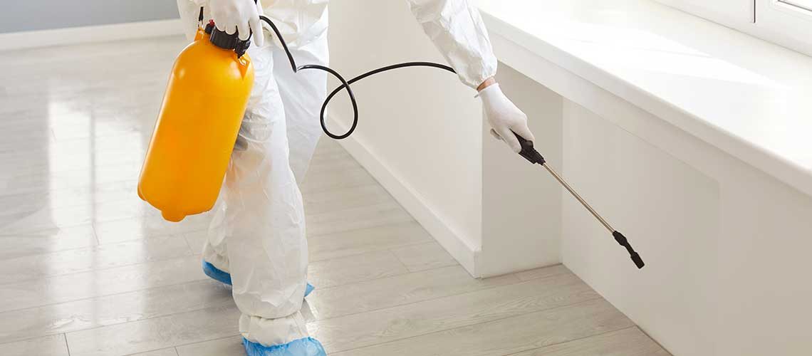 how-to-prevent-pests-img