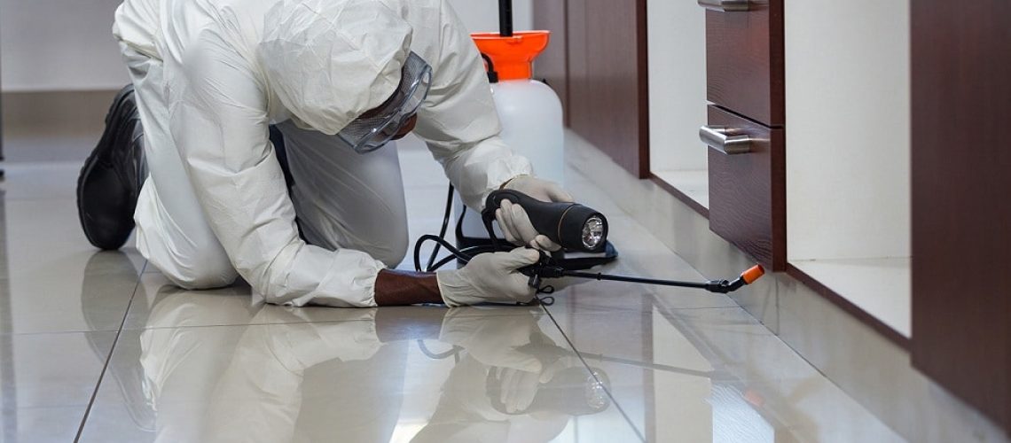 commercial pest control gold coast