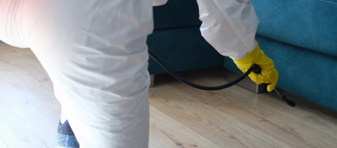 worker-protective-suit-treating-with-disinfectant-solution-floor-sofa-apartment 1